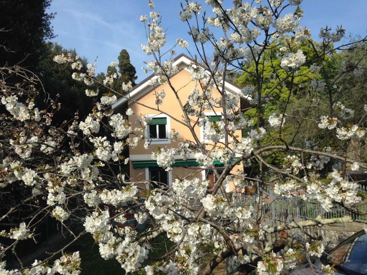 B&B La Rosa Segreta Genua Buitenkant foto